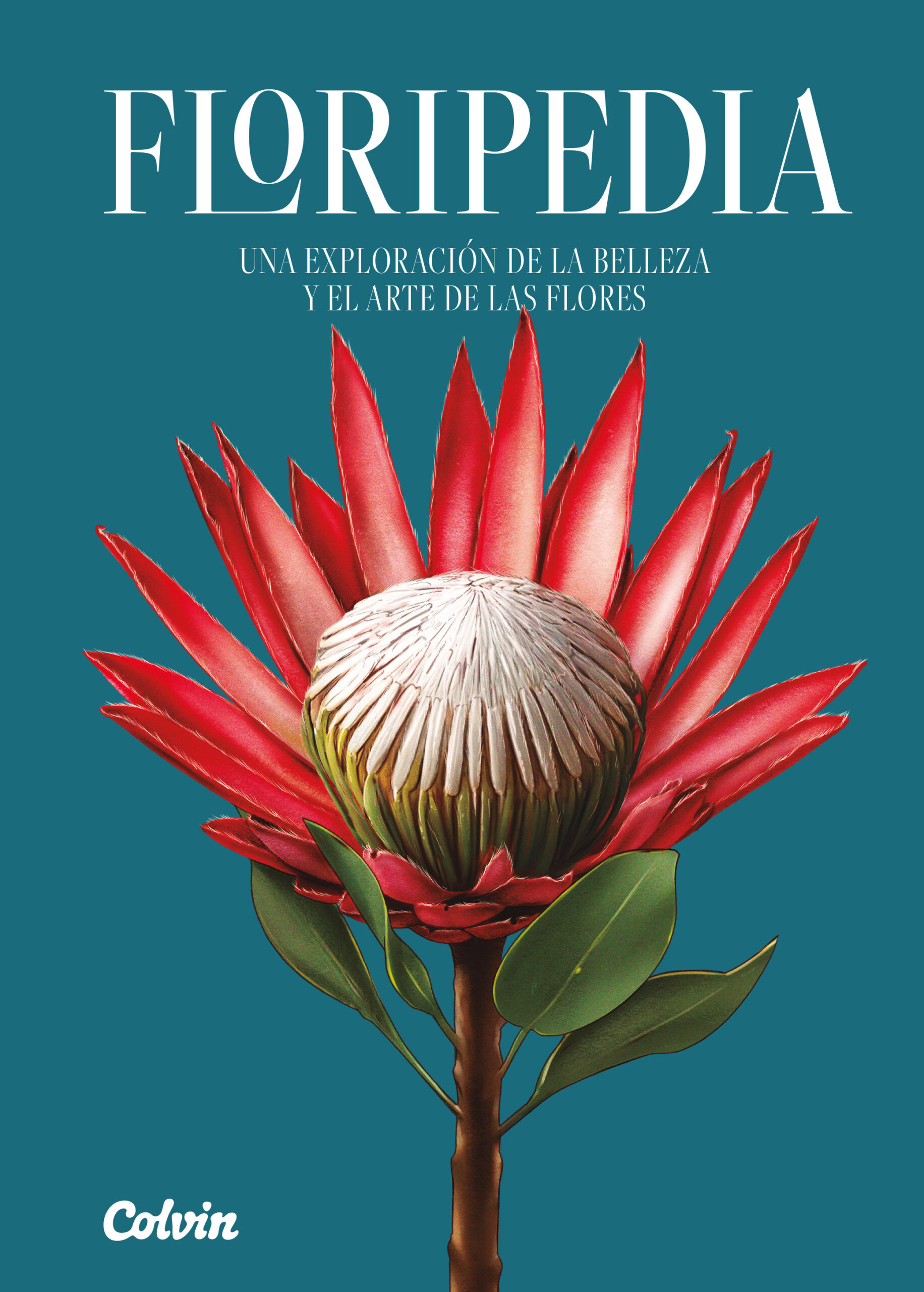 FLORIPEDIA - 149268