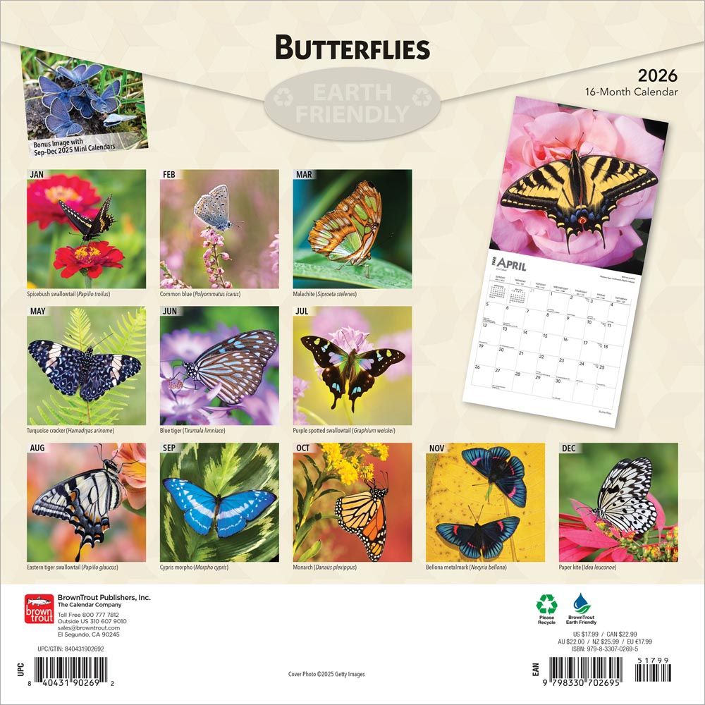 BUTTERFLIES 2026 SQUARE FLAP - 151619 - Imagen 2