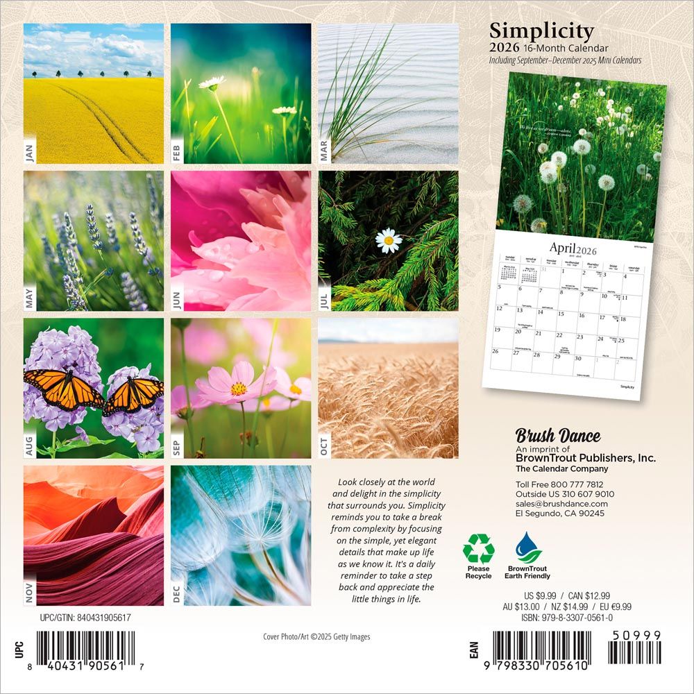SIMPLICITY 2026 MINI 7X7 BRUSH DANCE - 151498 - Imagen 2