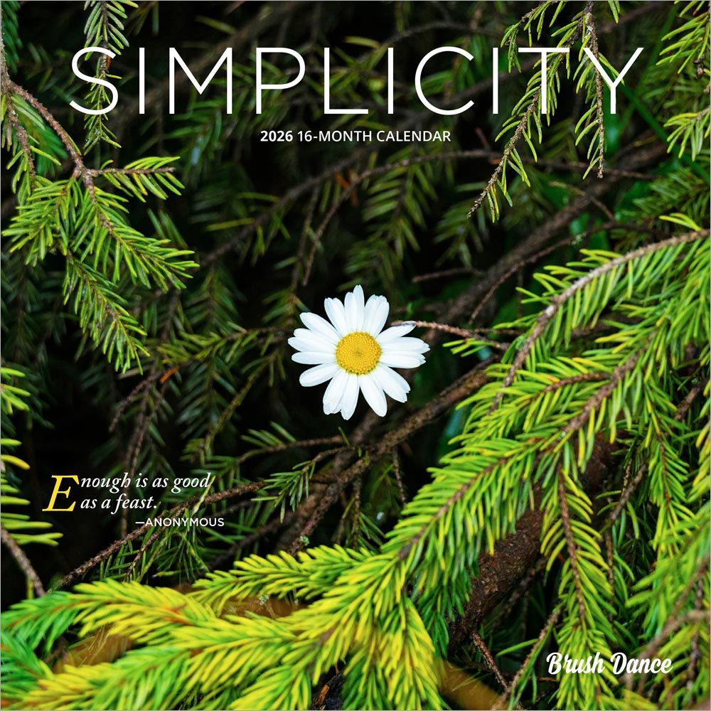 SIMPLICITY 2026 MINI 7X7 BRUSH DANCE - 151498