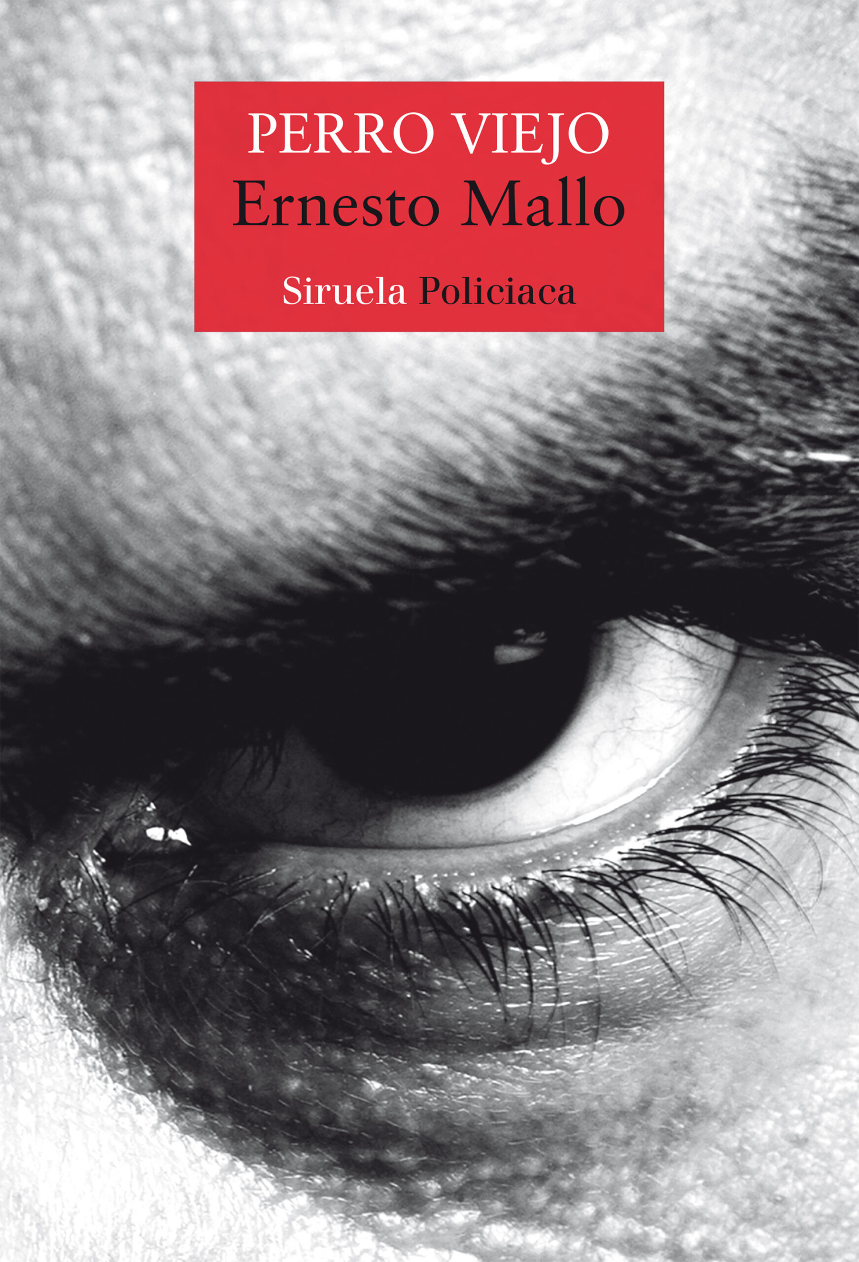 PERRO VIEJO (SERIE COMISARIO LASCANO 6) - 142467