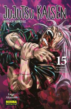 JUJUTSU KAISEN 15 - 151924