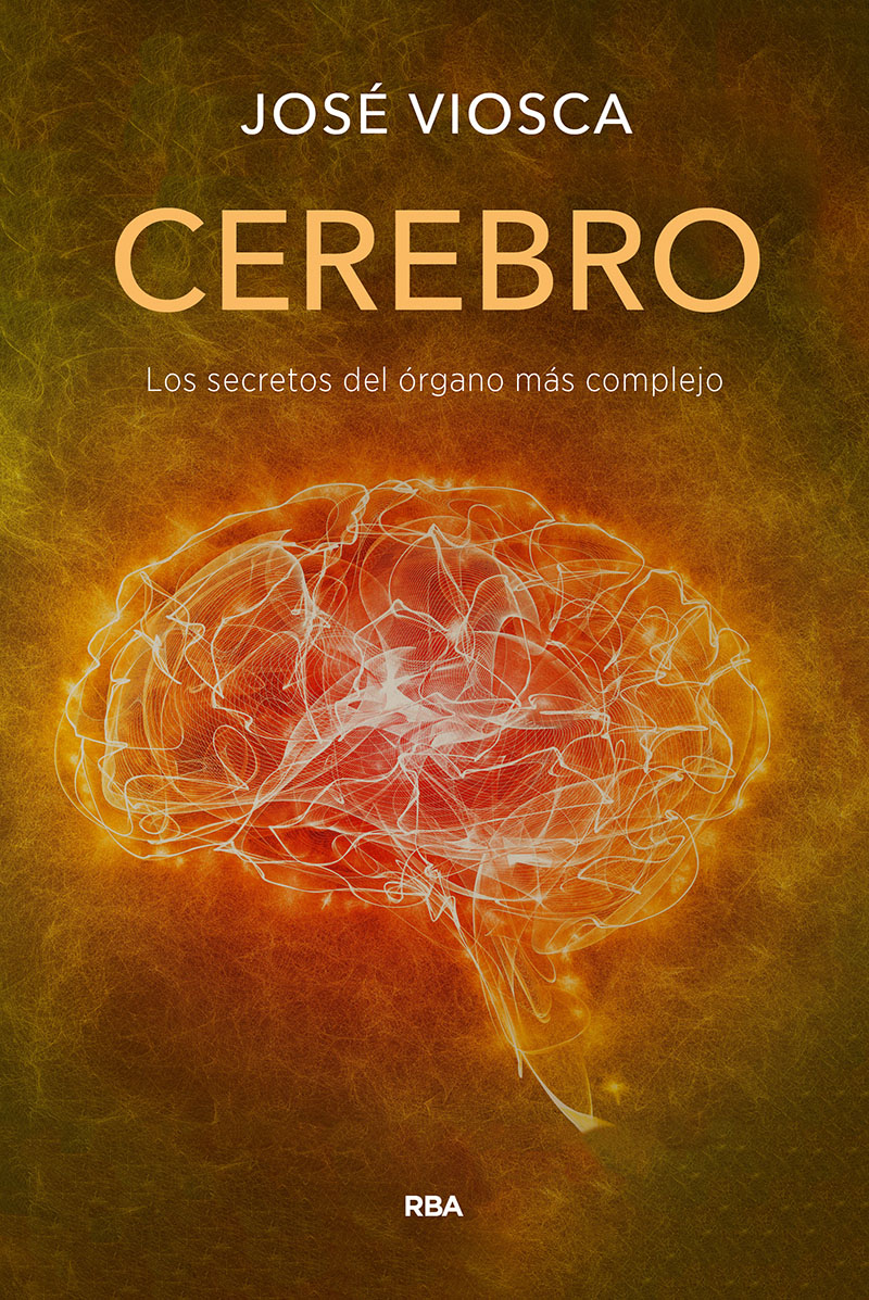 CEREBRO. - 133841