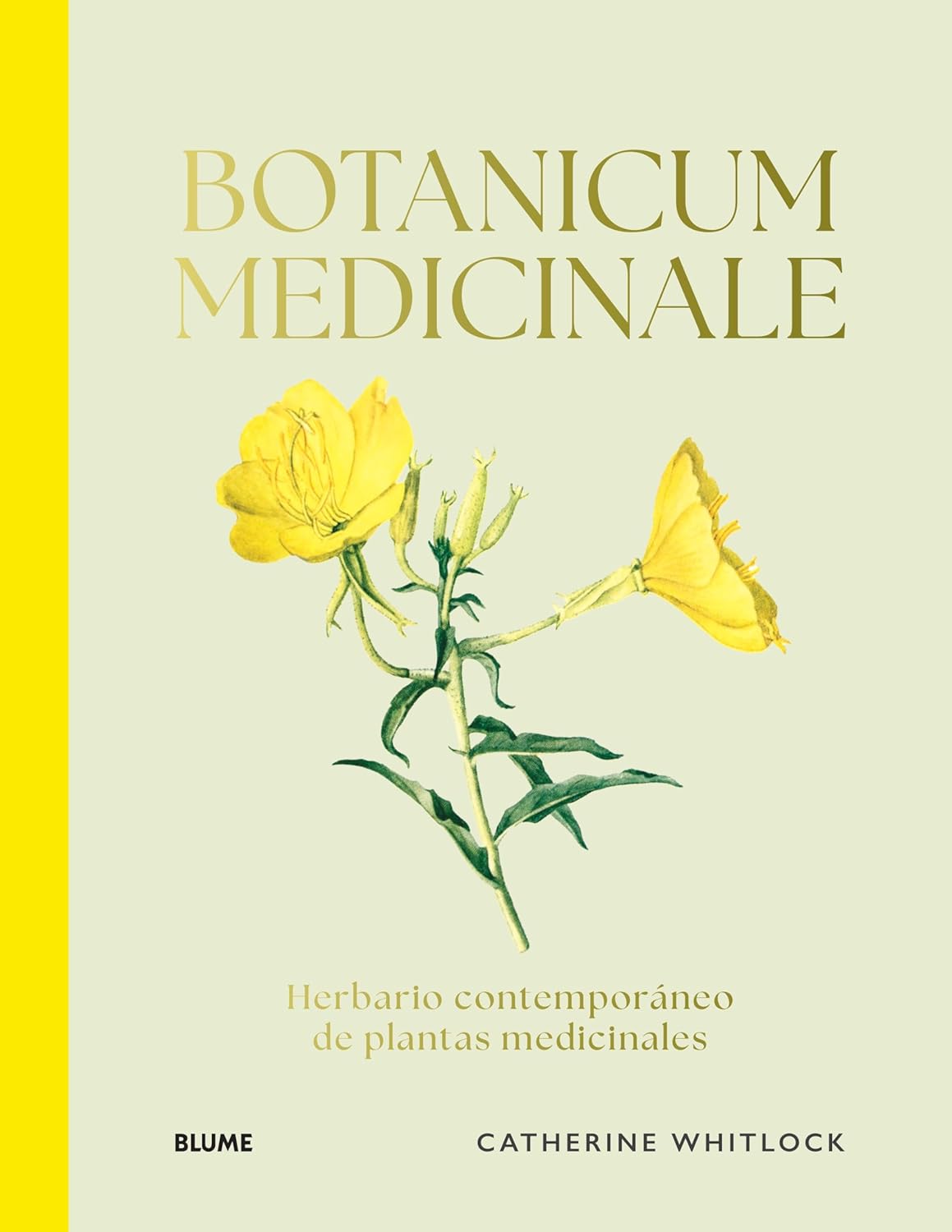 BOTANICUM MEDICINALE (NUEVA EDICION) - 154743