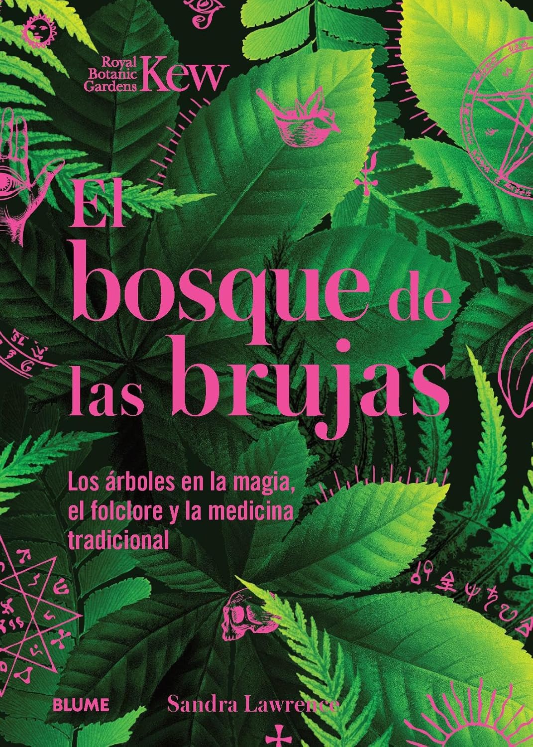 BOSQUE DE LAS BRUJAS, EL - 154746
