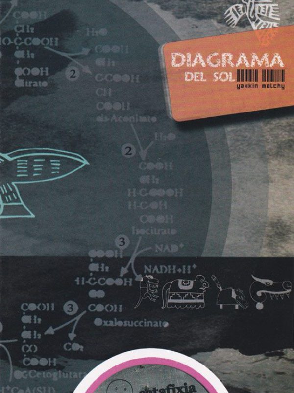 119951