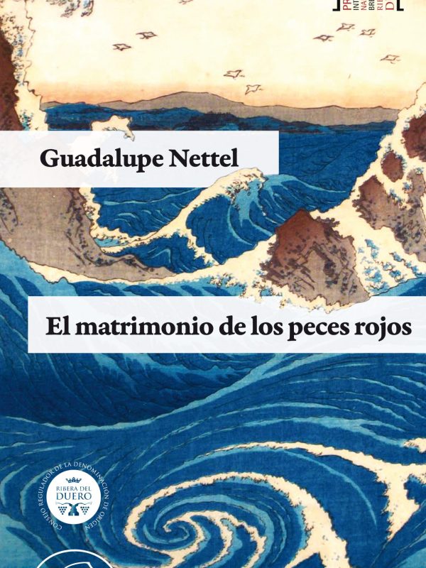 cubierta_NETTEL_20130423