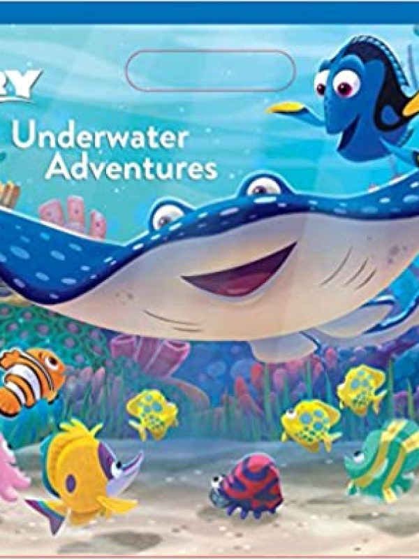 95455
