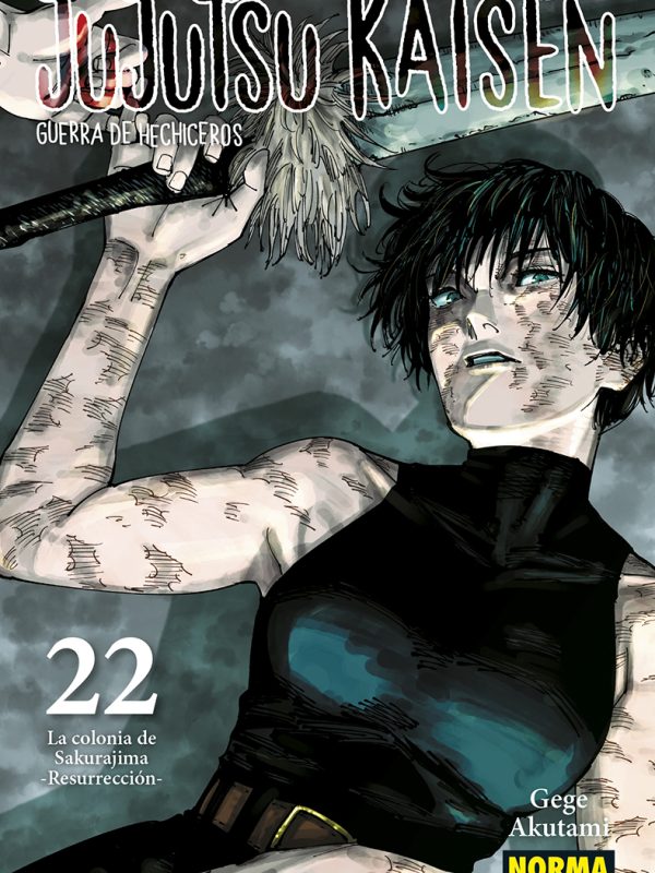 CAMISA JUJUTSU KAISEN 22.indd