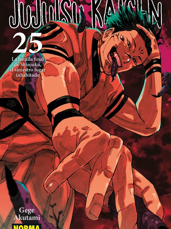 CAMISA JUJUTSU KAISEN 25.indd