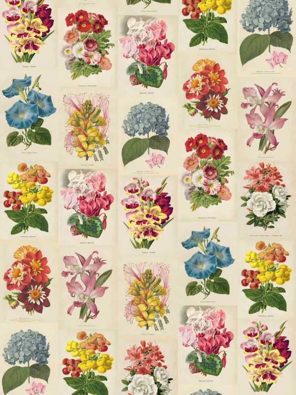 Botanica
