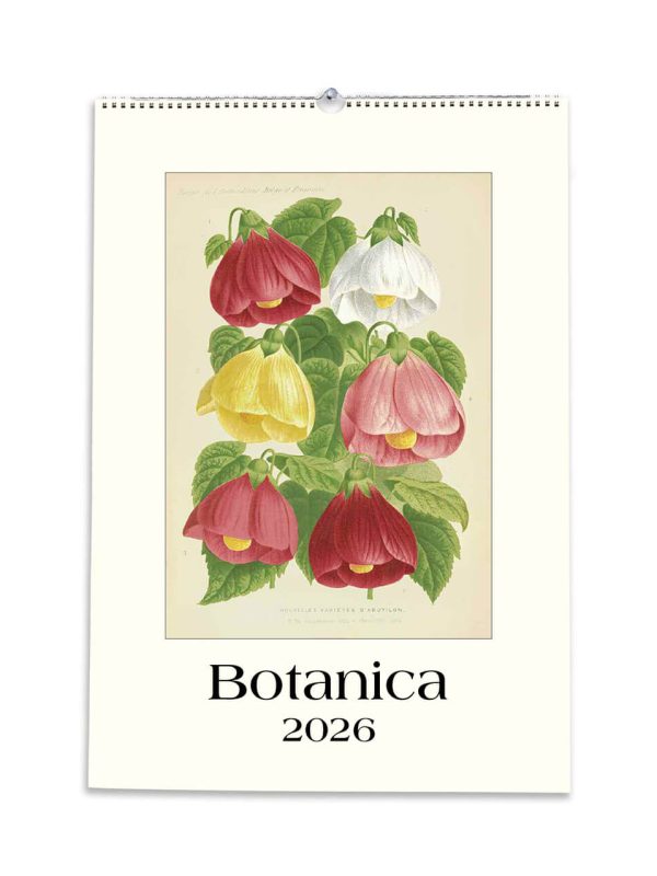 Calendari-Grandi-2026-Istituto-Fotocromo-4