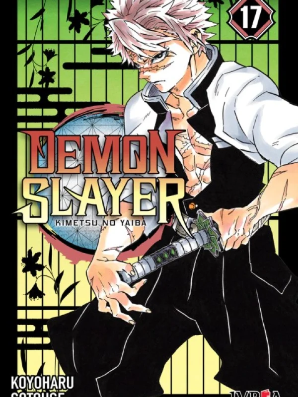 Demon-slayer-kimetsu-no-yaiba-vol.17