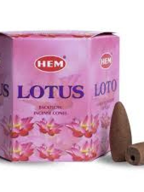 LT
