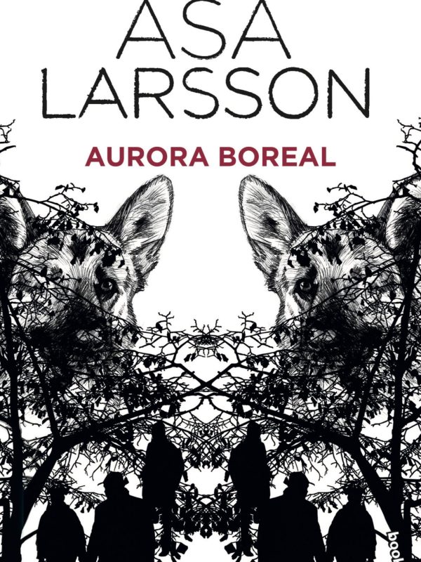 portada_aurora-boreal_asa-larsson_202005191747