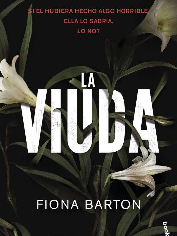 portada_la-viuda_fiona-barton_201703281837